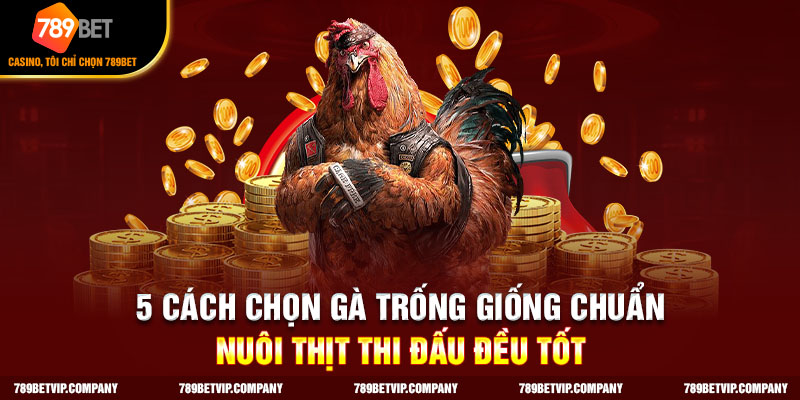 cách chọn gà trống giống