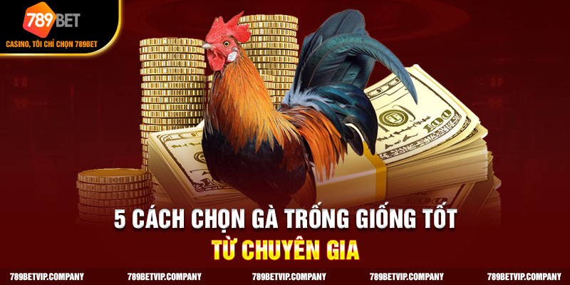 5 cách chọn gà trống giống từ chuyên gia