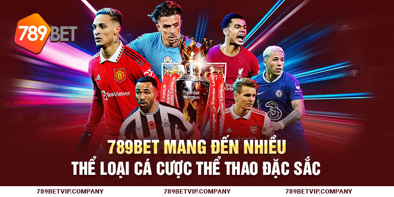 789Bet mang đến nhiều thể loại cá cược thể thao đặc sắc