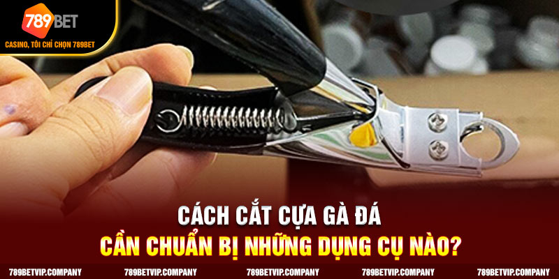 Chuẩn bị máy cắt cựa gà nếu có