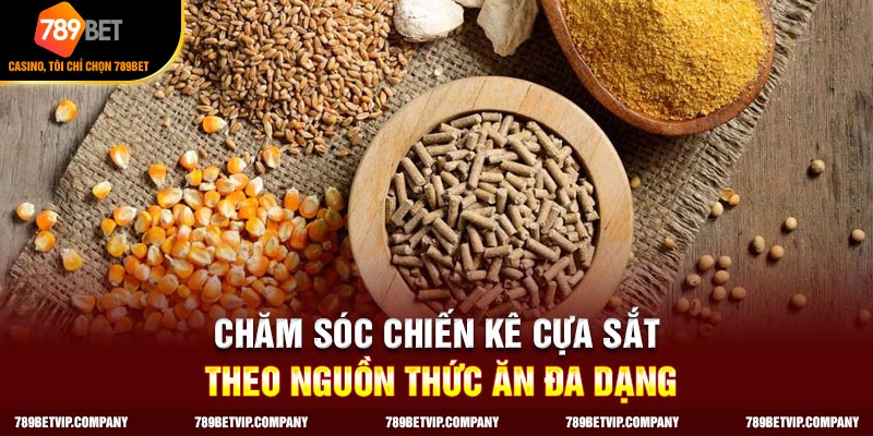 Chăm sóc chiến kê cựa sắt theo nguồn thức ăn đa dạng