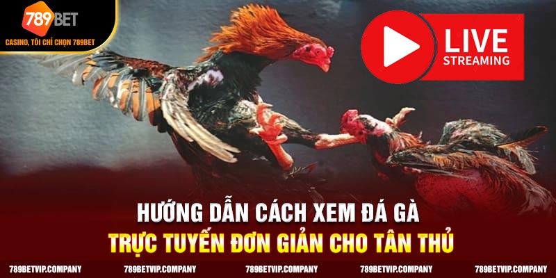 Hướng dẫn cách xem đá gà trực tuyến
