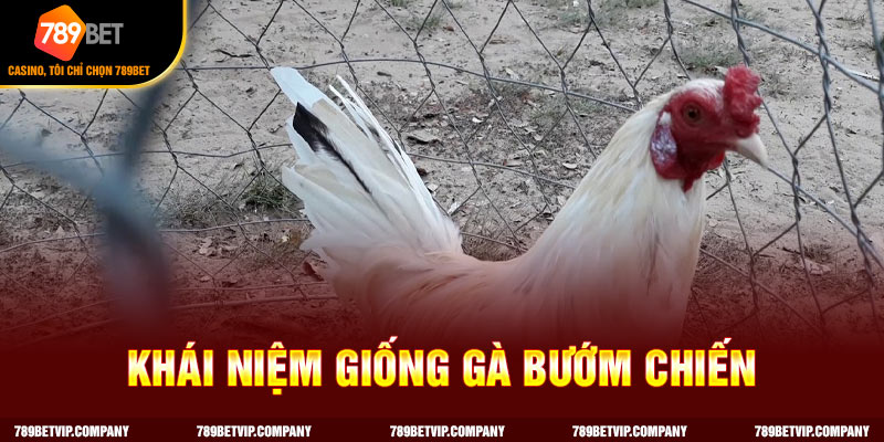 Khái niệm về giống gà bướm