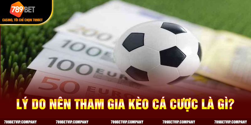 Kèo cá cược mang đến một nguồn lợi nhuận khổng lồ cho người chơi