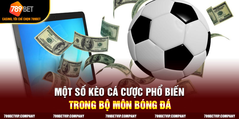 Kèo châu Âu là sự lựa chọn hàng đầu của nhiều hội viên
