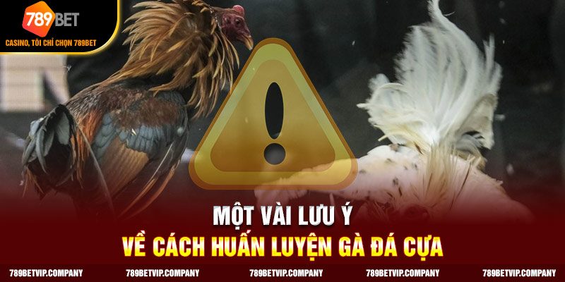 Một vài lưu ý về cách huấn luyện gà đá cựa