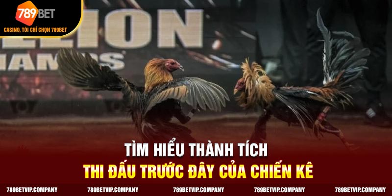 Cách đá gà mạng luôn thắng tìm hiểu thành tích của chiến kê