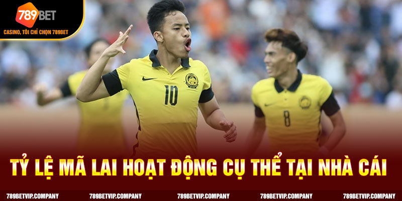 Tỷ lệ Mã Lai khá dễ hiểu và tính cược dễ dàng