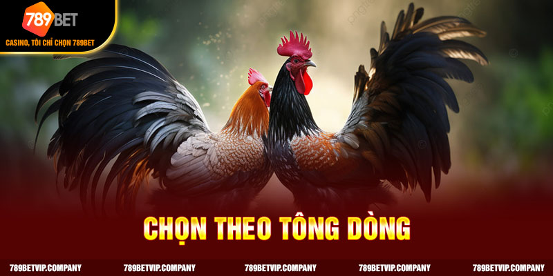 Cách chọn gà mái tre theo tông dòng