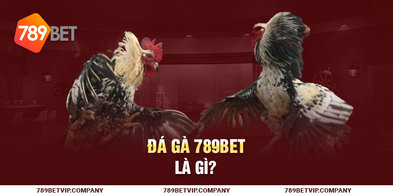 Đá gà 789Bet là gì?