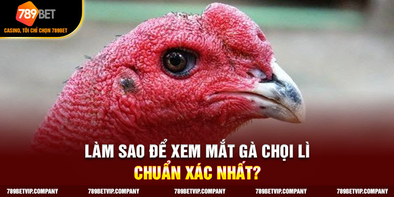 Sử dụng ánh sáng tự nhiên để kiểm tra mắt gà