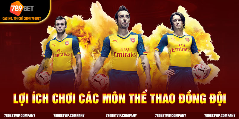 Lợi ích chơi các môn thể thao đồng đội 