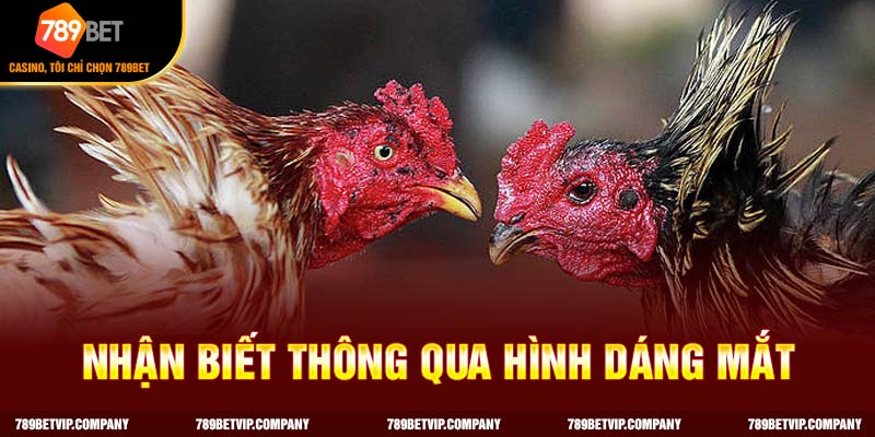 Nhận biết qua hình dạng của mắt