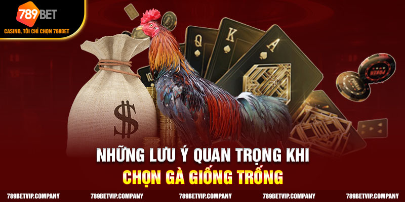 Cách chọn gà trống giống theo các yếu tố