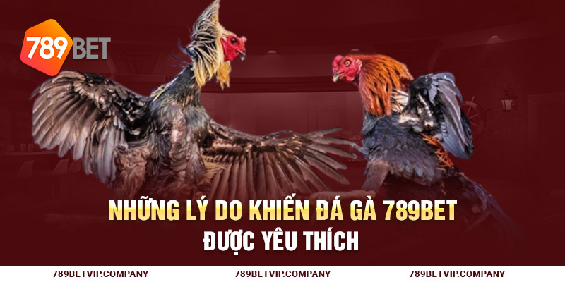 Những lý do khiến đá gà 789Bet được yêu thích