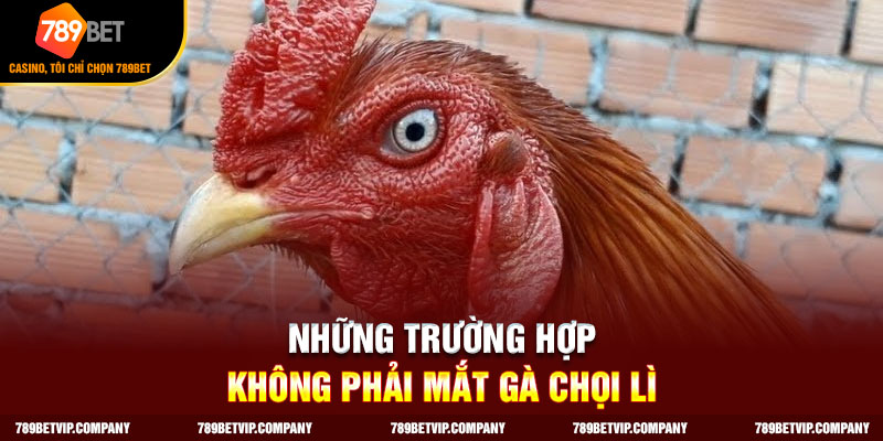 Kiểu mắt gà không nên lựa chọn