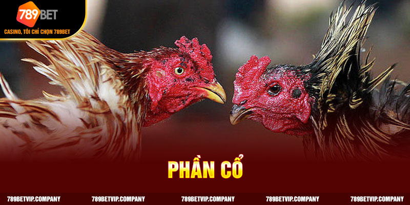 Cách chọn gà mái tre dựa vào cổ