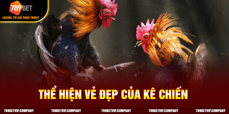 Thể hiện vẻ đẹp của chiến kê