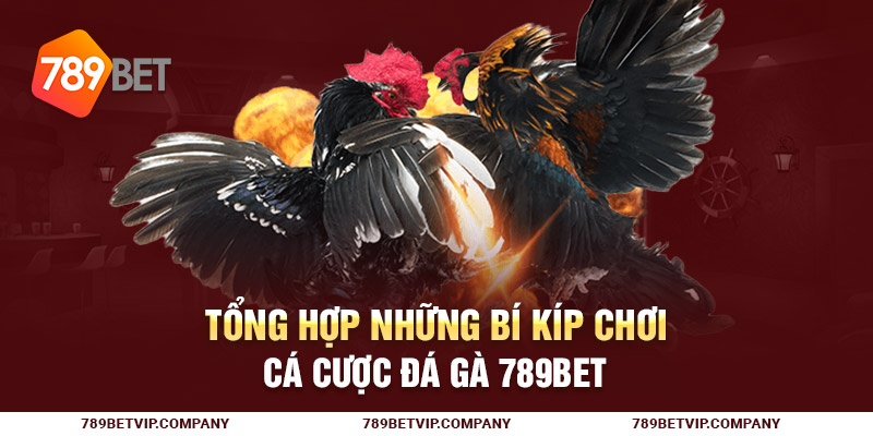 Tổng hợp những bí kíp chơi cá cược đá gà 789Bet