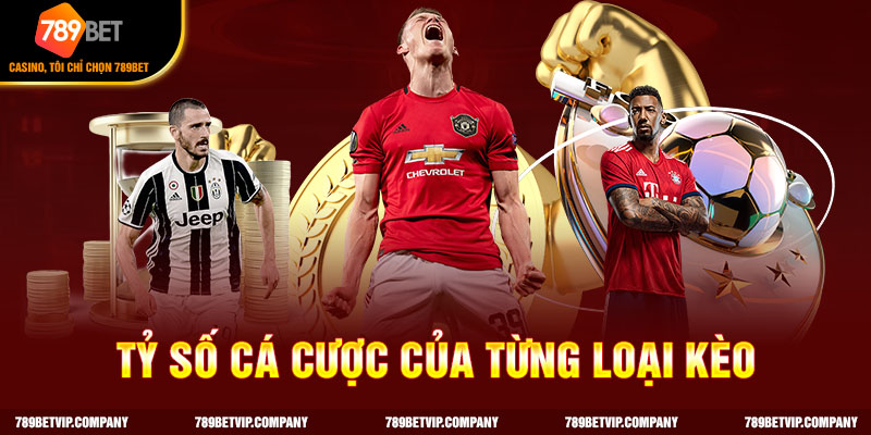 Tìm hiểu tỷ lệ cá cược của từng loại kèo trong bóng đá