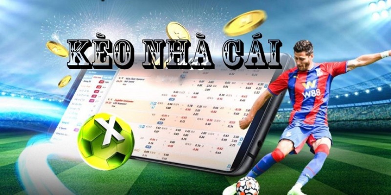 Kèo bóng đá là cơ sở để người chơi tham gia cá cược