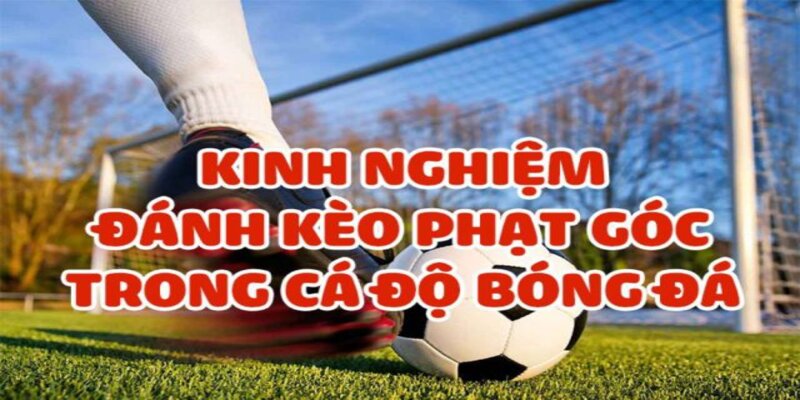 Dự đoán kèo phạt góc - Hình thức cược phổ biến