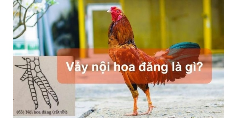 Giá thị trường của các dòng gà chiến này luôn rất cao